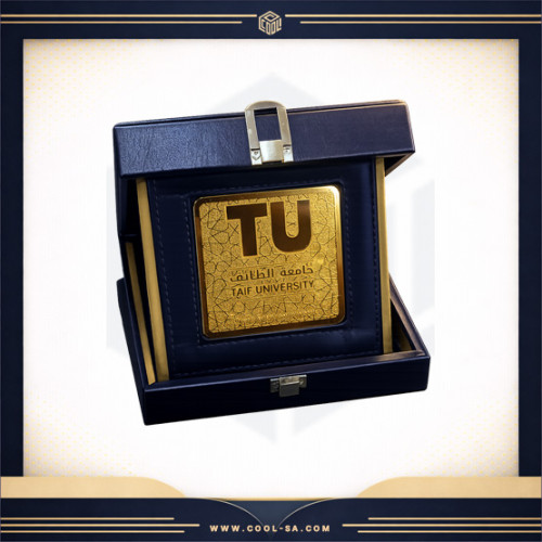 درع معدني فاخر علبة جلد الماني 